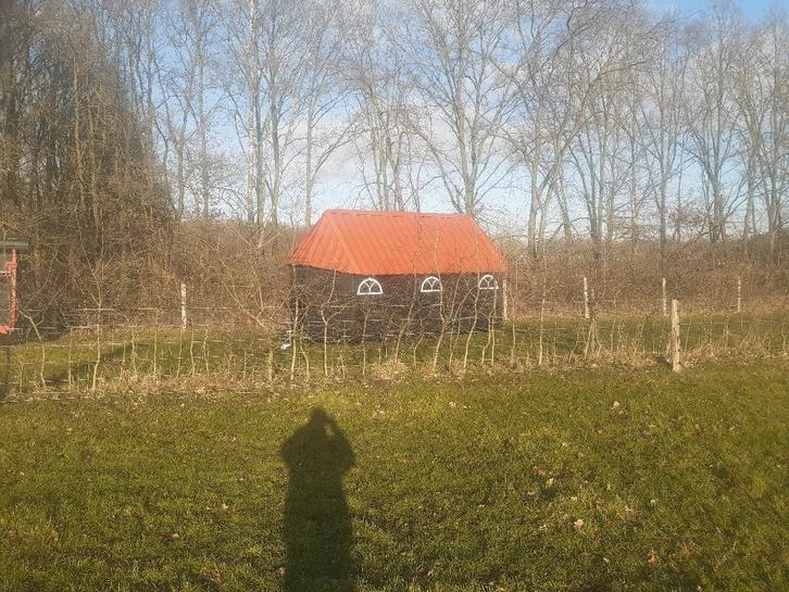 Mobiele schaapskooi te koop., Dieren en Toebehoren, Schapen, Geiten en Varkens, Schaap, Meerdere dieren