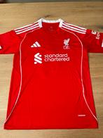 Liverpool shirt Van Dijk Maat M, Maat M, Ophalen of Verzenden, Zo goed als nieuw, Shirt