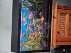 Kleine complete aquarium te koop (35 l), Dieren en Toebehoren, Vissen | Aquaria en Toebehoren, Ophalen of Verzenden, Gevuld zoetwateraquarium