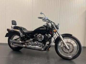 Yamaha XVS 650 CUSTOM (bj 1997) beschikbaar voor biedingen