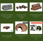 Vele soorten legholen en schuil decoratie voor vissen, Vis, Zoetwatervis