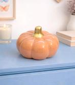 Pompoen decoratie, Ophalen of Verzenden, Nieuw