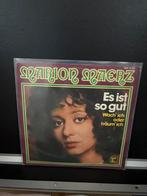 Marion Maerz- Es ist so gut (vert. Paladijns), Cd's en Dvd's, Vinyl | Nederlandstalig, Verzenden, Gebruikt, Overige formaten, Levenslied of Smartlap