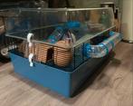 Hamster cage, Kooi, Minder dan 75 cm, Zo goed als nieuw, Hamster