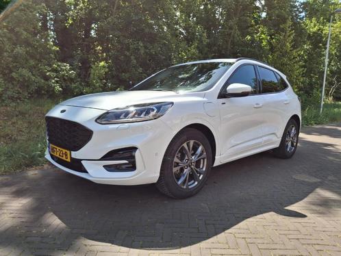 Ford Kuga 2.5 Phev ST-Line X / Head up / Winterpack, Auto's, Ford, Particulier, Kuga, ABS, Achteruitrijcamera, Adaptive Cruise Control