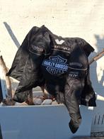 Motorjas dames Bering met losse binnenjas maat T1, Jas | textiel, Ophalen of Verzenden, Bering, Dames