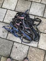 Paarden Halsters, Dieren en Toebehoren, Ophalen of Verzenden, Overige soorten