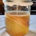 scoby om zelf kombucha te maken, Hobby en Vrije tijd, Overige Hobby en Vrije tijd, Nieuw, Ophalen