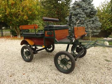 Open recreatiewagen / Koets / Rijtuig beschikbaar voor biedingen