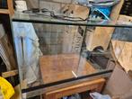 Mooi terrarium 80x50x50 met glazen schuifdeuren, Dieren en Toebehoren, Reptielen en Amfibieën | Toebehoren, Ophalen, Zo goed als nieuw