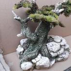 Aquarium: Japanse tree, Ophalen, Zo goed als nieuw, Plant(en), Steen of Hout