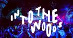 4 vrijdag kaarten voor into the woods, Tickets en Kaartjes, Evenementen en Festivals, Eén persoon