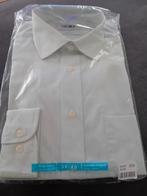 Hema Classic Overhemd Lichtgroen Maat 39/40 Nieuw, Nieuw, HEMA, Groen, Halswijdte 39/40 (M)