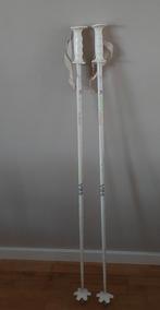 Techno skistokken 1.20, Gebruikt, Stokken, 100 tot 140 cm, Ophalen