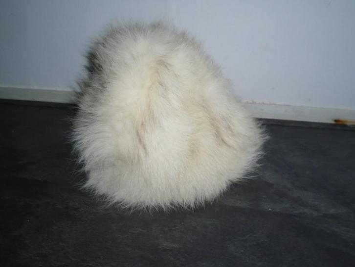 Russische Prachtige Volle Echt Bont Muts Bomtmuts Polar, Kleding | Dames, Mutsen, Sjaals en Handschoenen, Zo goed als nieuw, Muts