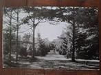 Fotokaart Norg - Oosterduinen - 1964, Ophalen of Verzenden, 1960 tot 1980, Gelopen, Drenthe