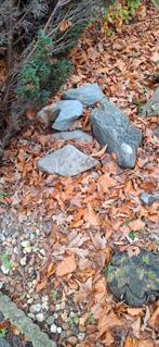 Zwerfkeien, Tuin en Terras, Grind, Keien en Split, Ophalen, Gebruikt