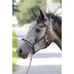Nieuwe Bucas Dublin halsters diverse kleuren cob, full, xful, Ophalen of Verzenden, Nieuw, Overige soorten
