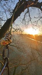 Bomen snoeien/kappen, Ophalen