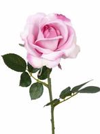 OPRUIMING - TOP ART - PRACHTIGE ROOS - VAN 2,95 NU 1,50, Ophalen of Verzenden, Nieuw