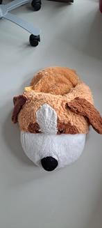 Honden- of kattenslof, Ophalen of Verzenden