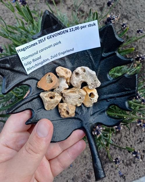 Heksenstenen uit Engeland, Verzamelen, Mineralen en Fossielen, Fossiel, Ophalen of Verzenden