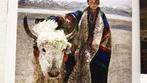 Tibet. 1980-2010 schilderijen -catalogus. foto’s. Zeldz., Antiek en Kunst, Kunst | Overige Kunst, Ophalen of Verzenden