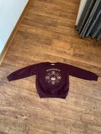 H&M Harry Potter Hogwarts trui 134-140 / 8-10 jaar, Kinderen en Baby's, Ophalen of Verzenden, Zo goed als nieuw, Jongen of Meisje