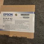 ELPLP42 Epson beamer projector lamp, Ophalen of Verzenden, Nieuw, Epson