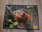 Puzzel rode panda, Ophalen of Verzenden, Meer dan 50 stukjes, Zo goed als nieuw, 6 jaar of ouder
