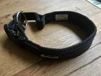 Hondenhalsband, Ophalen of Verzenden, Zo goed als nieuw