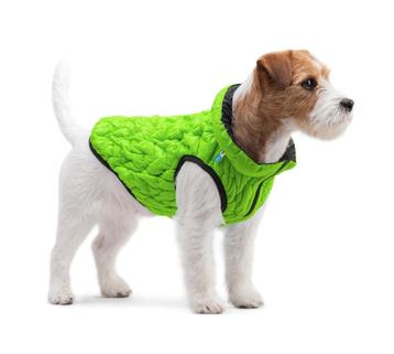 AiryVest UNI Hondenjas Omkeerbaar M48 Lightgreen-Black -50%! beschikbaar voor biedingen