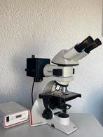 Leica DM1000 Fluorescentie microscoop, Ophalen of Verzenden, Zo goed als nieuw, 400x tot 1000x, Biologische microscoop