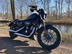 Harley Davidson XL883N Sportster, Motoren, 2 cilinders, Chopper, 883 cc, Particulier