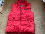 Bodywarmer, Maat 38/40 (M), Zo goed als nieuw, Ophalen, Rood