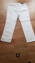 Damesbroek, Ophalen of Verzenden, Nieuw, Maat 46/48 (XL) of groter, Wit
