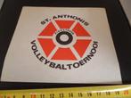 sticker st anthonis pinksteren volleybal toernooi, Ophalen, Zo goed als nieuw, Bedrijf of Vereniging