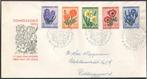 Nederland FDC E13 Met Adres Zomerzegels Bloemen 1953, Ophalen of Verzenden, Beschreven, Nederland