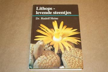 Lithops - Levende steentjes beschikbaar voor biedingen