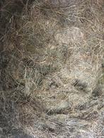 Ronde balen zo goed als hooi, Meerdere dieren, Schaap