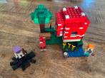 Minecraft set 21179 - Compleet met doos en boekje, Kinderen en Baby's, Speelgoed | Duplo en Lego, Ophalen of Verzenden, Zo goed als nieuw