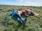 Verzorger gezocht voor mijn pony, Dieren en Toebehoren, Ophalen