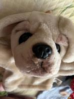 Handpop Hond Cor de Poppenkast, Ophalen of Verzenden, Zo goed als nieuw, Overige typen