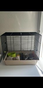 Hamsterkooi groot meer veel extra's en voer en hooi., Dieren en Toebehoren, Knaagdieren en Konijnen | Hokken en Kooien, Kooi, Zo goed als nieuw