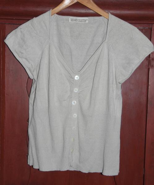 Klassieke Top The Earth Collection Licht grijs maat XL, Kleding | Dames, Tops, Gedragen, Maat 42/44 (L), Grijs, Ophalen of Verzenden