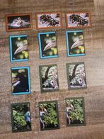 Deka Artis zegels, Plus, Ophalen of Verzenden