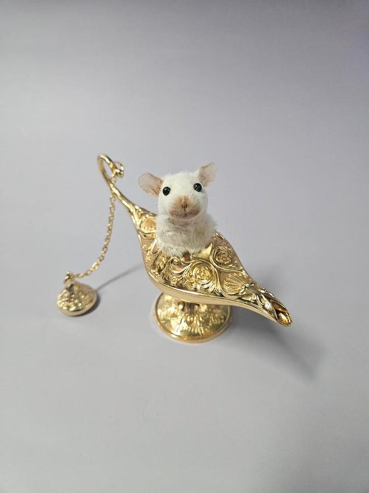 Taxidermy Muis Lamp, Verzamelen, Dierenverzamelingen, Nieuw, Opgezet dier, Boerderijdier, Ophalen of Verzenden