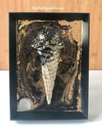 Prachtige IJshoorn ijs ijsje zwart goud in lijstje Epoxy Art, Ophalen