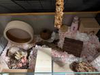 Grote hamsterkooi + tamme goudhamster + veel toebehoren, Dieren en Toebehoren, Hamster, Vrouwelijk, Januari, Tam