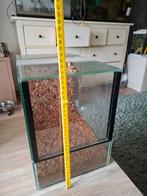 Terrarium klein voor spinnen of andere kleinere beestjes, Dieren en Toebehoren, Reptielen en Amfibieën | Toebehoren, Ophalen